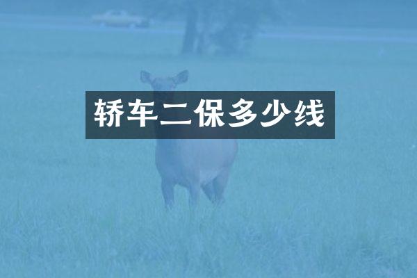 轿车二保多少线