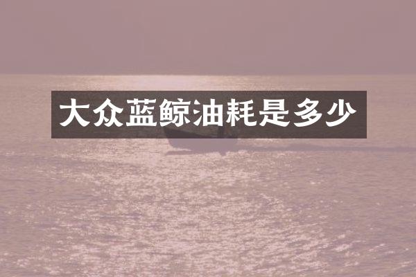 大众蓝鲸油耗是多少