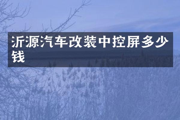 沂源汽车改装中控屏多少钱