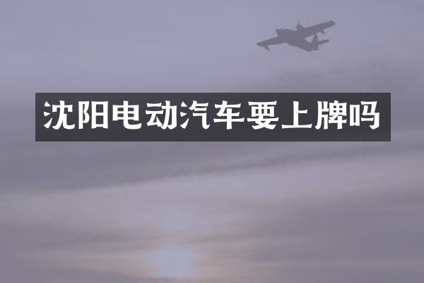沈阳电动汽车要上牌吗