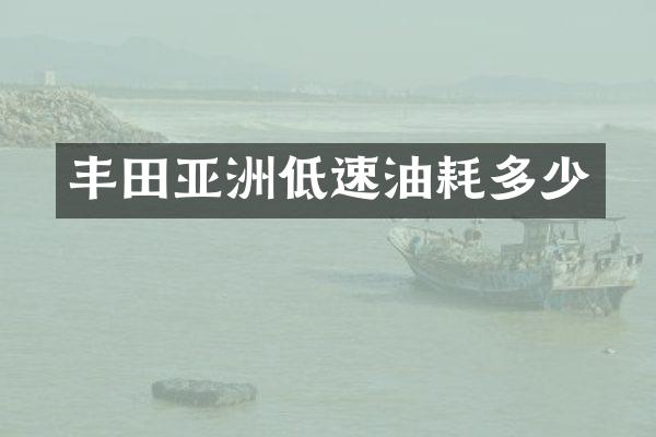 丰田亚洲低速油耗多少