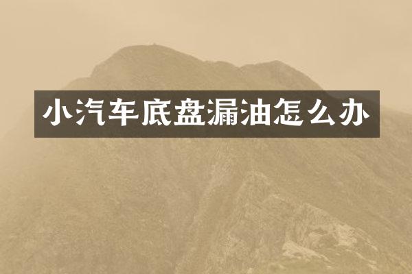 小汽车底盘漏油怎么办