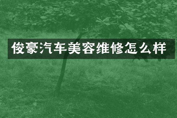 俊豪汽车美容维修怎么样