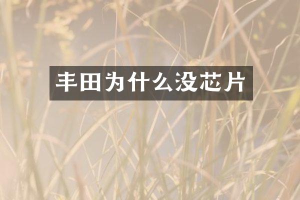 丰田为什么没芯片