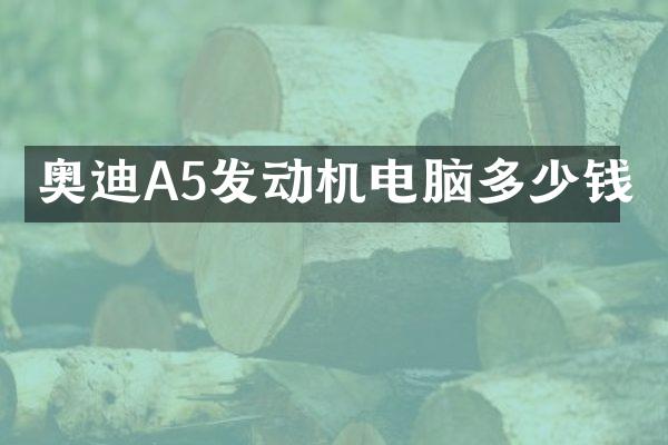 奥迪A5发动机电脑多少钱
