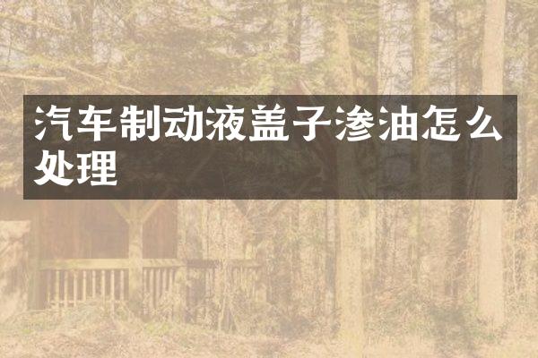 汽车制动液盖子渗油怎么处理