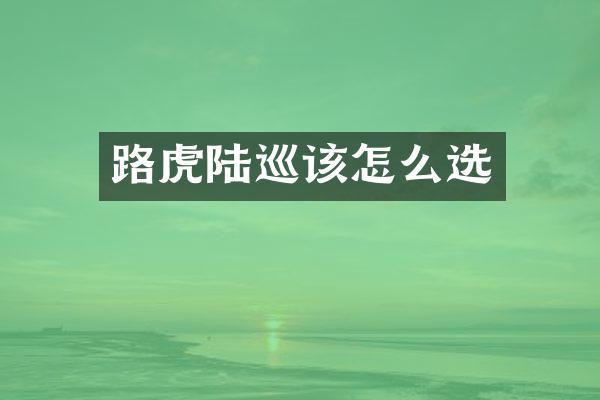 路虎陆巡该怎么选