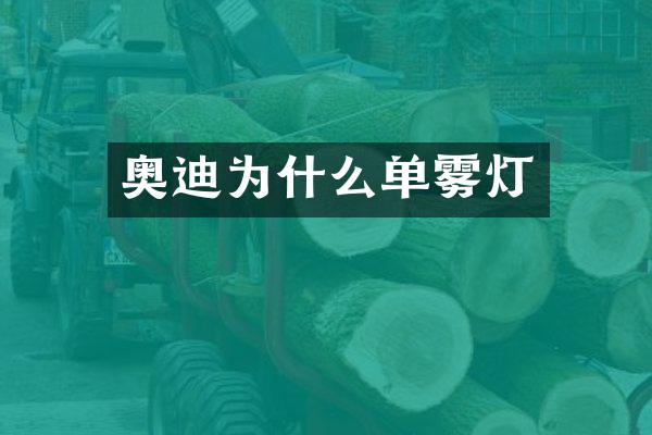 奥迪为什么单雾灯
