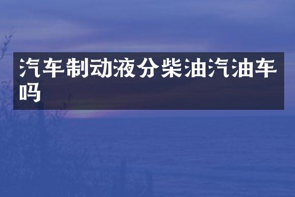 汽车制动液分柴油汽油车吗