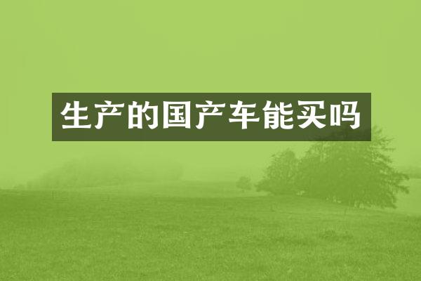 生产的国产车能买吗