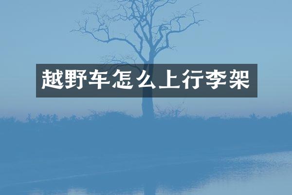 越野车怎么上行李架