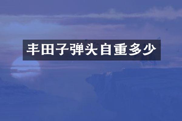 丰田头自重多少