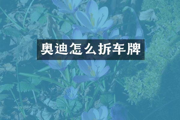 奥迪怎么拆车牌