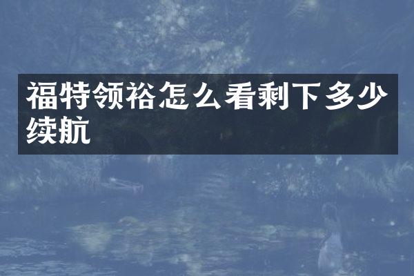 福特领裕怎么看剩下多少续航