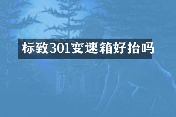 标致301变速箱好抬吗