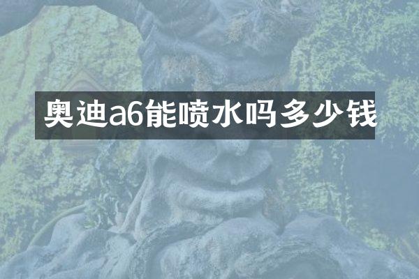 奥迪a6能喷水吗多少钱