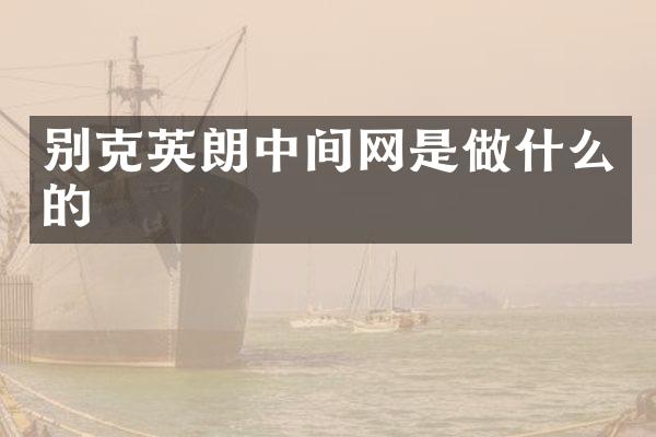 别克英朗中间网是做什么的