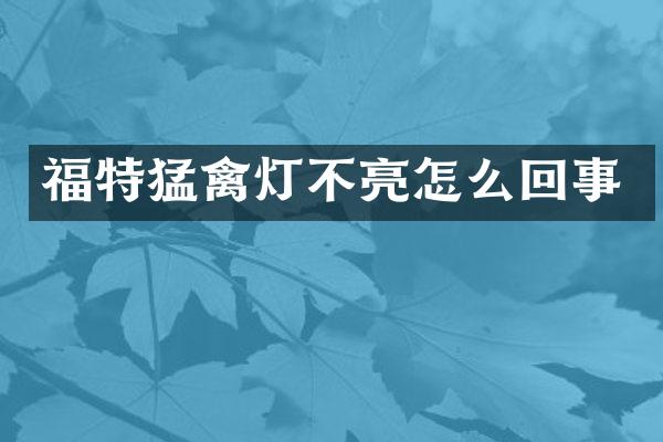 福特猛禽灯不亮怎么回事