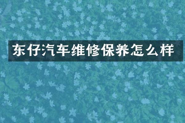 东仔汽车维修保养怎么样
