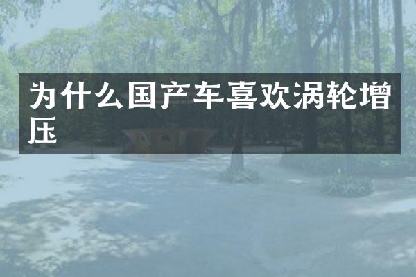 为什么国产车喜欢涡轮增压