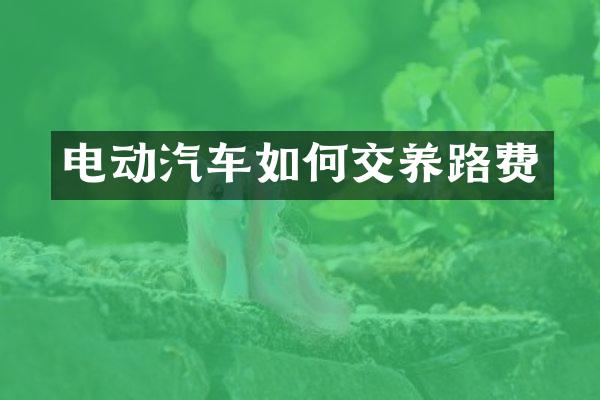 电动汽车如何交养路费