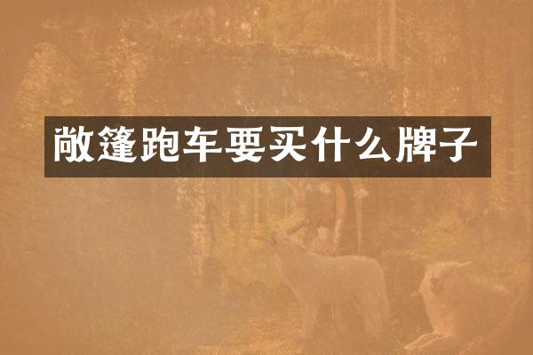 敞篷跑车要牌子