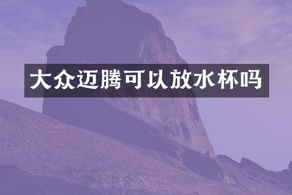 大众迈腾可以放水杯吗