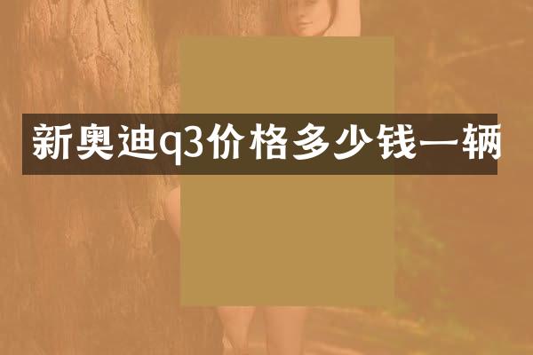 新奥迪q3价格多少钱一辆