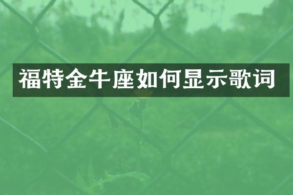 福特金牛座如何显示歌词