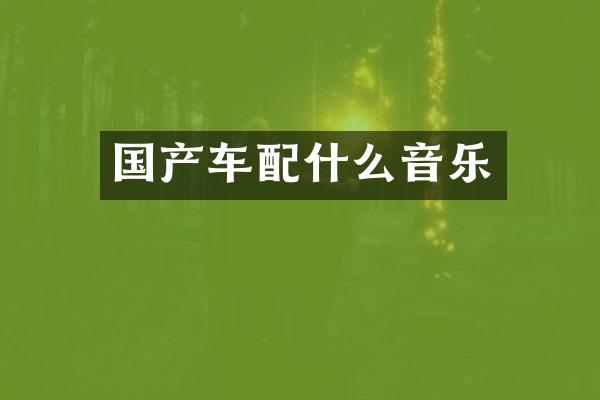 国产车音乐