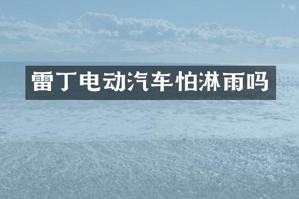 雷丁电动汽车怕淋雨吗