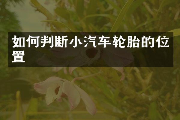 如何判断小汽车轮胎的位置