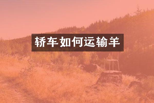 轿车如何运输羊