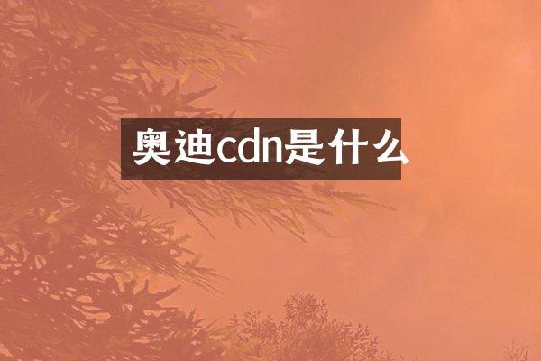 奥迪cdn是什么