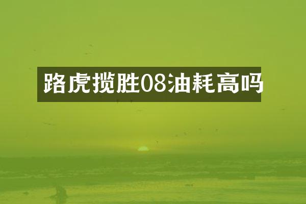 路虎揽胜08油耗高吗