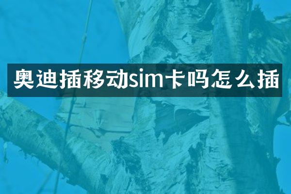 奥迪插移动sim卡吗怎么插