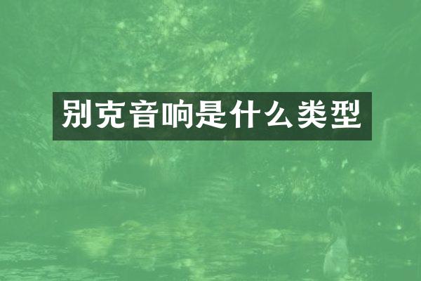 别克音响是什么类型