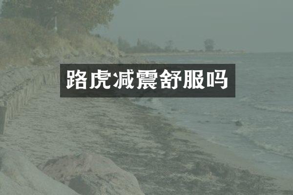 路虎减震舒服吗