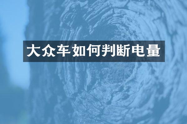 大众车如何判断电量