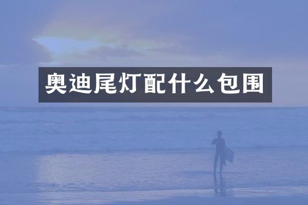 奥迪尾灯包围
