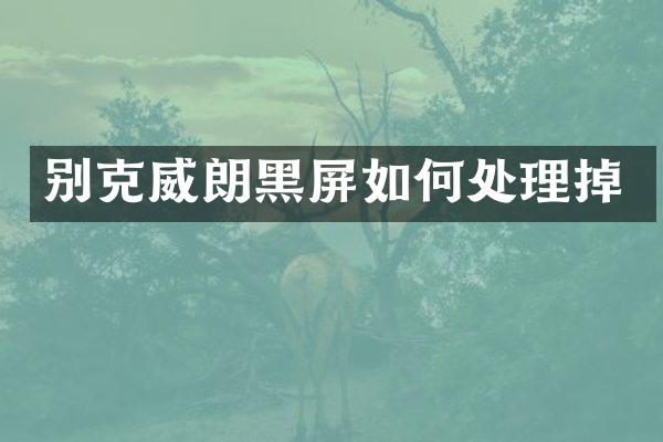 别克威朗黑屏如何处理掉