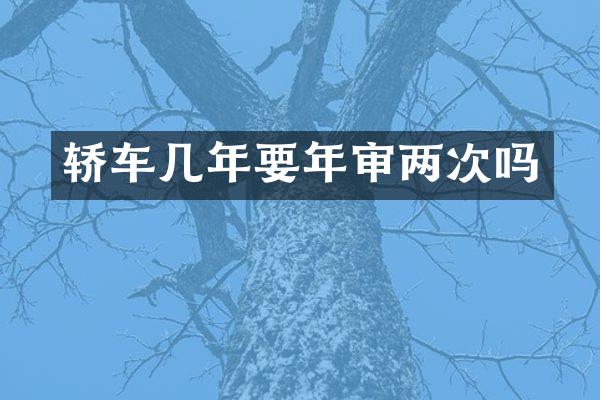 轿车几年要年审两次吗