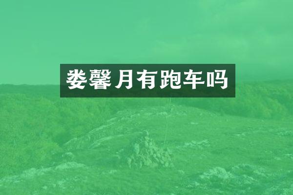 娄馨月有跑车吗