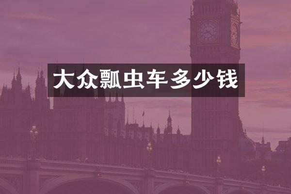 大众瓢虫车多少钱