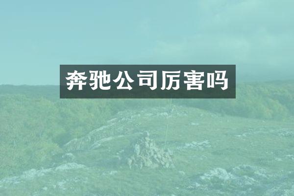 奔驰公司厉害吗