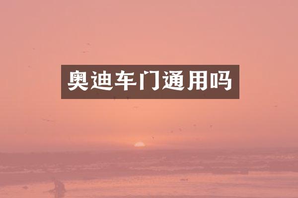奥迪车门通用吗