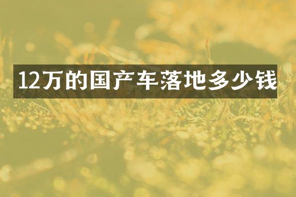 12万的国产车落地多少钱