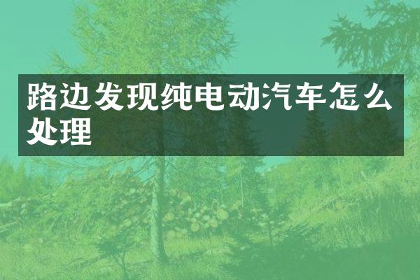 路边发现纯电动汽车怎么处理