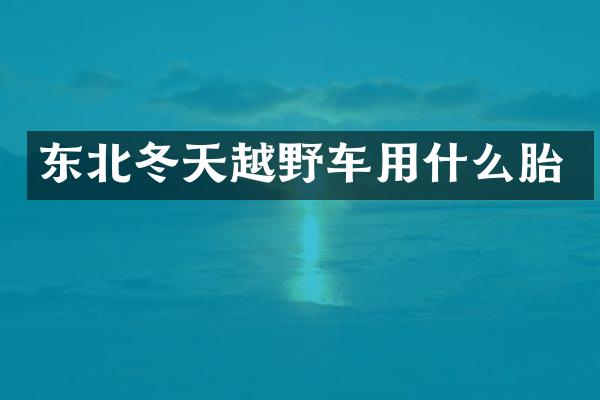 东北冬天越野车用什么胎