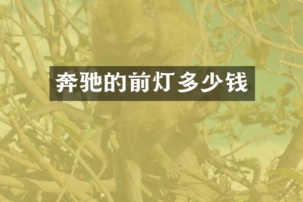 奔驰的前灯多少钱